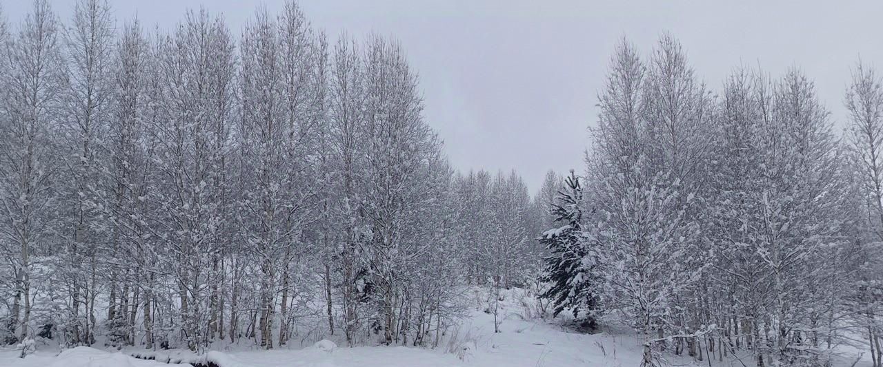 земля р-н Таштагольский г Таштагол ул Красногвардейская фото 4