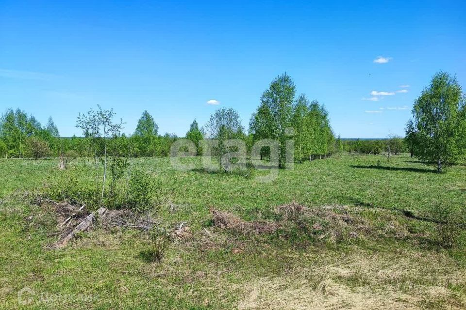 земля р-н Костромской Середняя фото 5