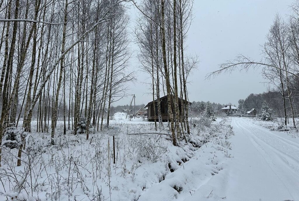 земля городской округ Истра д Сафонтьево днп терСафонтьевские дачи фото 3