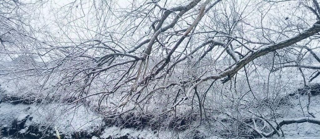 дом р-н Симферопольский с Укромное ул Стадионная фото 34