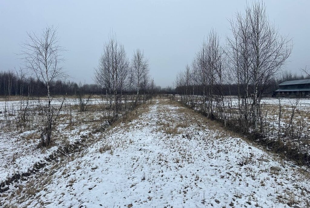 земля городской округ Раменский с Заворово фото 11