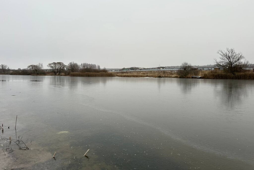 земля городской округ Раменский с Заворово фото 6