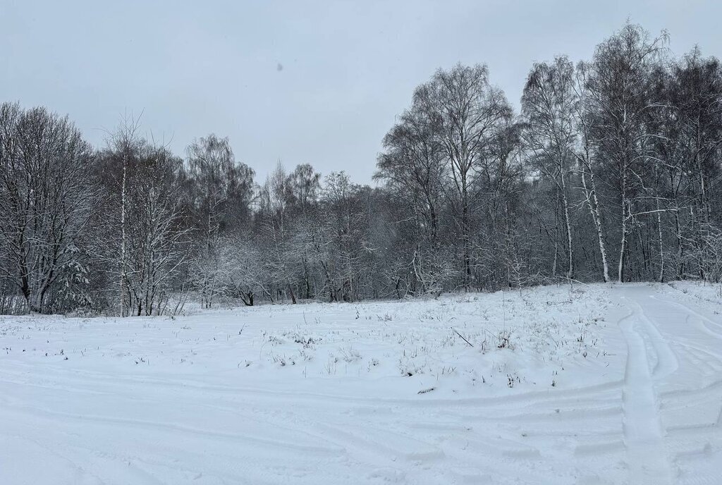 земля городской округ Истра д Сафонтьево днп терСафонтьевские дачи фото 16