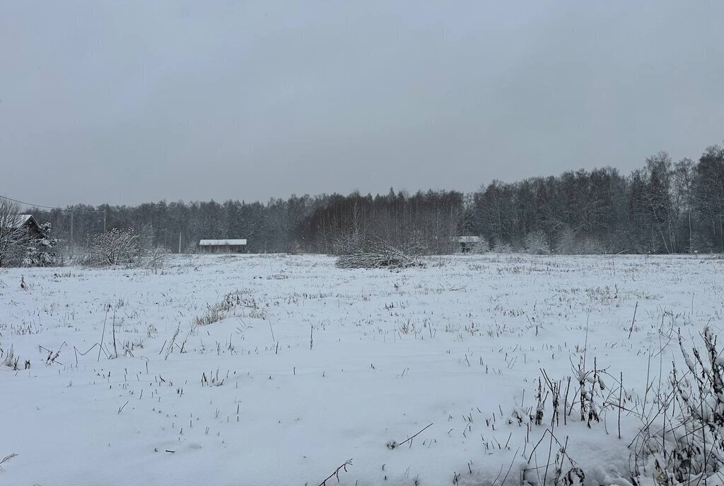 земля городской округ Истра д Сафонтьево днп терСафонтьевские дачи фото 19