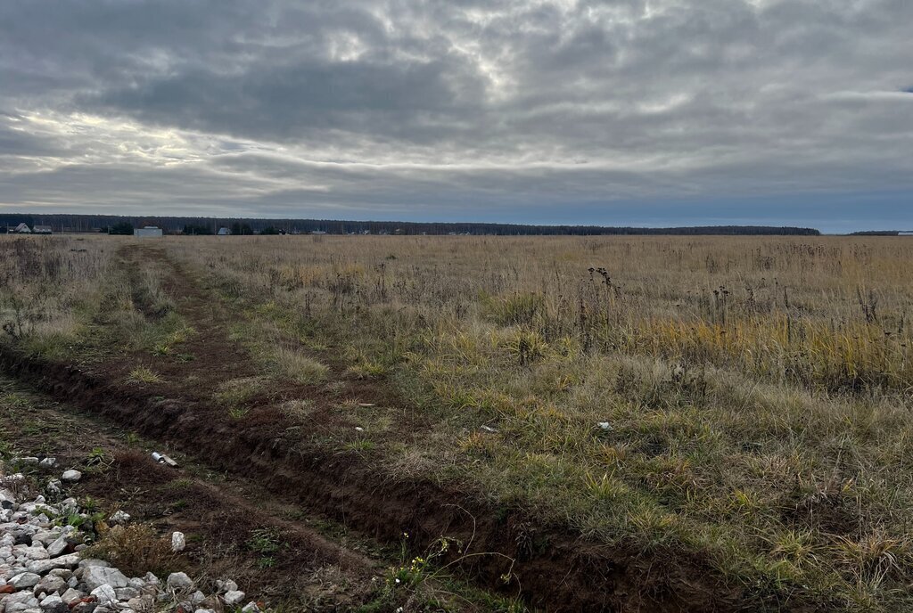 земля городской округ Раменский дачный посёлок Давыдово фото 3