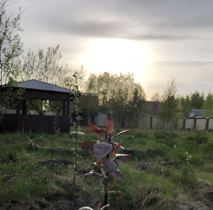 земля р-н Нижневартовский снт Трассовик ДНТ, Излучинск городское поселение фото 5