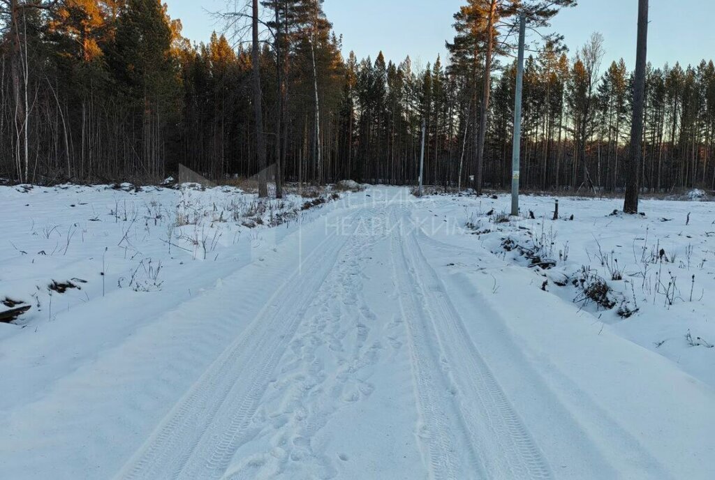 земля р-н Нижнетавдинский с Тюнево Тюневское сельское поселение фото 8