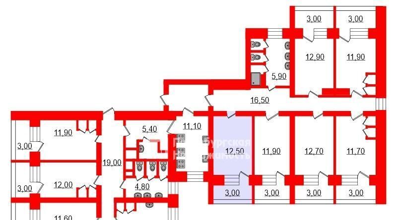 комната г Санкт-Петербург метро Проспект Просвещения ул Композиторов 24к/3 округ Шувалово-Озерки фото 2