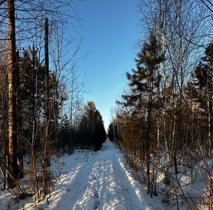 земля р-н Иркутский снт СК Незабудка фото 6