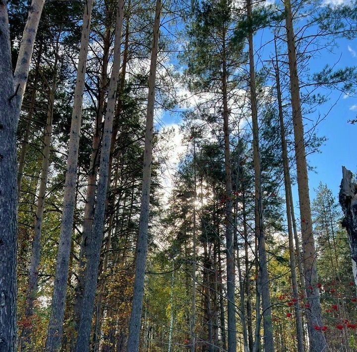 земля г Екатеринбург р-н Чкаловский Кургановский дп фото 4