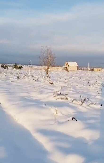 земля р-н Брянский д Меркульево ул Ленина фото 3