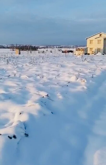 земля р-н Брянский д Меркульево ул Ленина фото 4