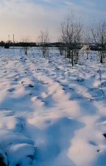 земля р-н Брянский д Меркульево ул Ленина фото 5