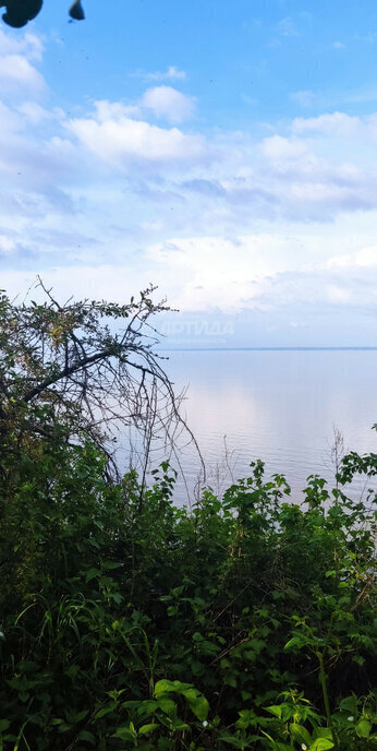 дом р-н Чкаловский д Колганово 21, городской округ Чкаловск фото 8