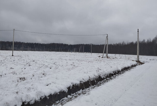 снт Раменье Дмитровский городской округ фото