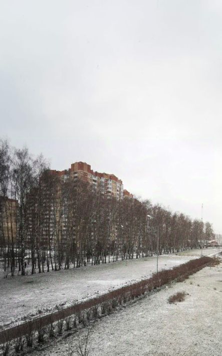 квартира городской округ Истра д Чёрная ул Тенистая 6 микрорайон «Нахабино Ясное» Нахабино фото 14