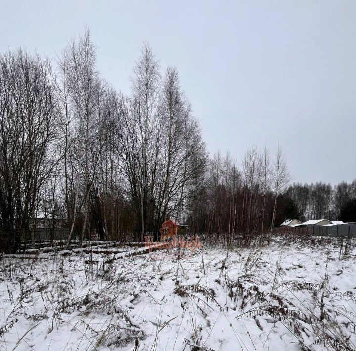 земля городской округ Дмитровский д Савелово 22 фото 3