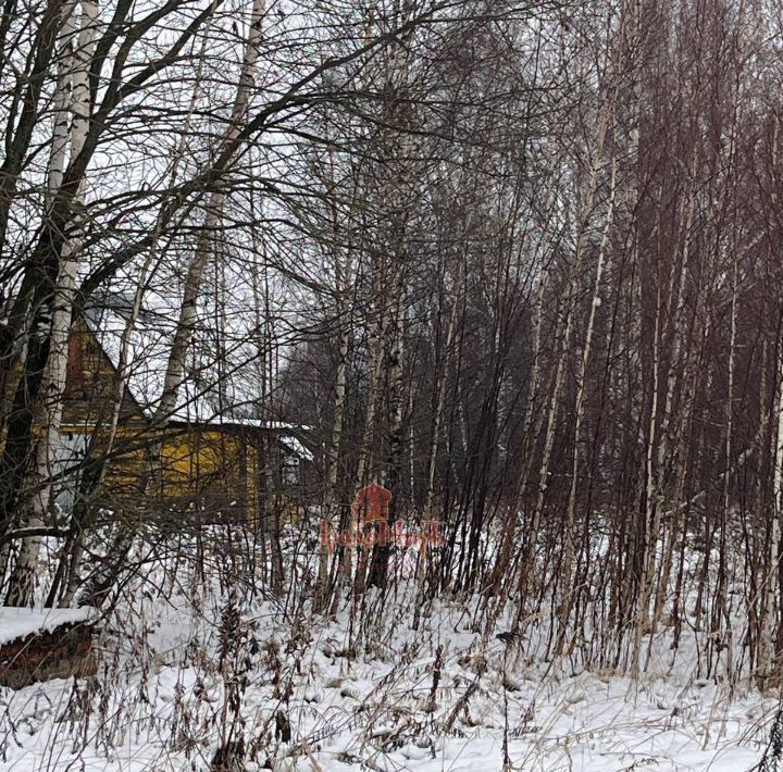 земля городской округ Дмитровский д Савелово 22 фото 7