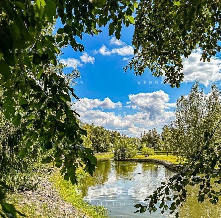 земля городской округ Истра д Писково Нахабино фото 6