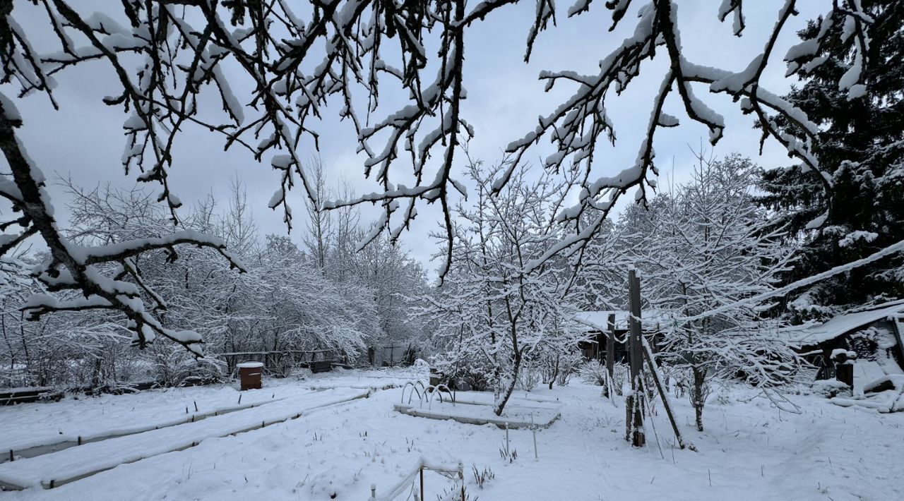 дом городской округ Пушкинский п Софрино ул Мира 4 фото 14