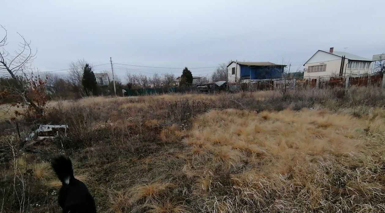 земля р-н Городищенский п Царицын снт Диана ул Березовая Царицынское с/пос фото 10