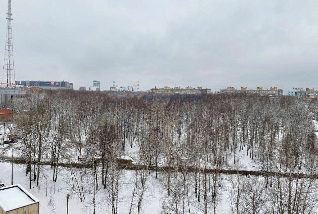 квартира г Нижний Новгород р-н Советский Горьковская ул Тимирязева 9к/2 фото 19