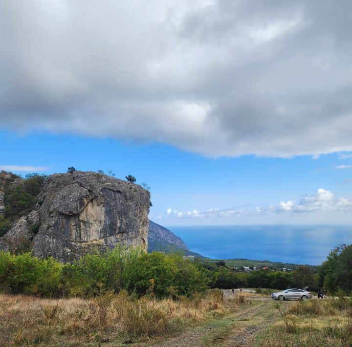 земля г Ялта г Алупка ш Севастопольское 78 фото 5