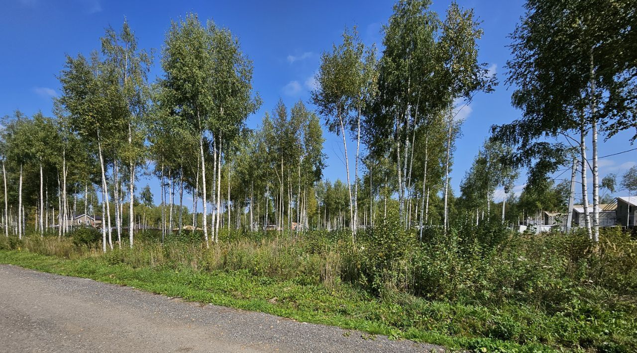 земля городской округ Дмитровский д Базарово Хлебниково фото 1