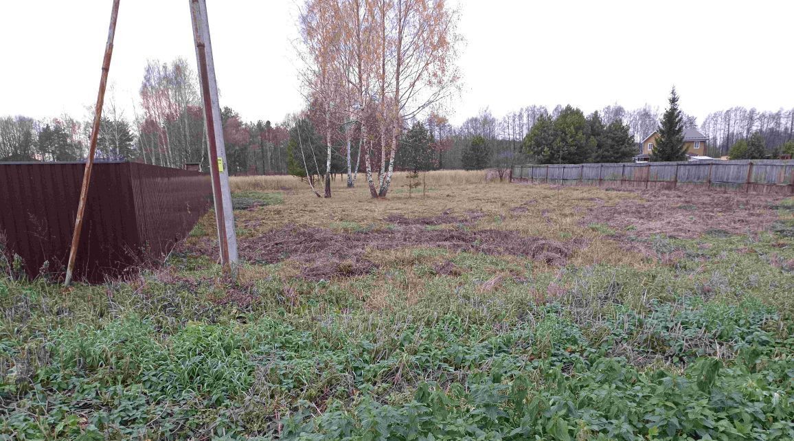 земля городской округ Богородский д Исаково Железнодорожная фото 1