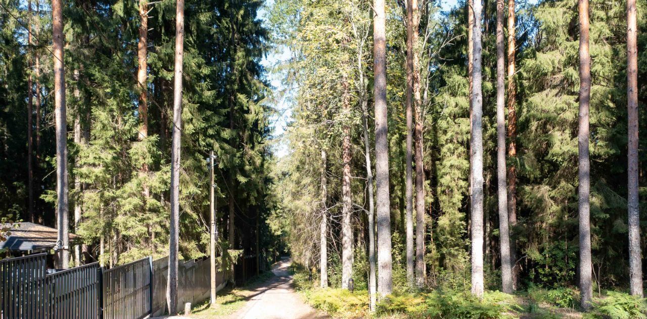 дом р-н Выборгский п Ганино пр-д Рыбацкий Рощинское городское поселение фото 28