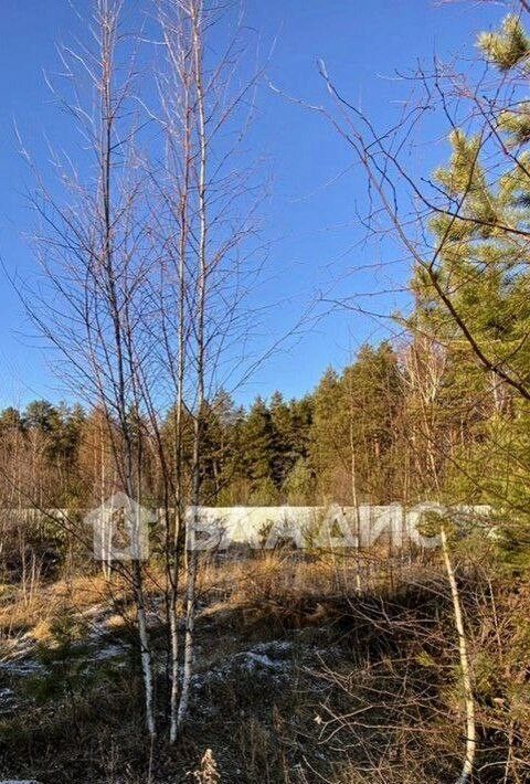 земля г Владимир д Уварово р-н Октябрьский фото 4