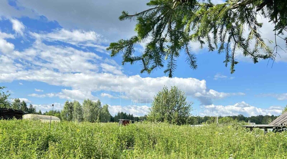 земля р-н Нижнетавдинский д Аракчина ул Центральная фото 7