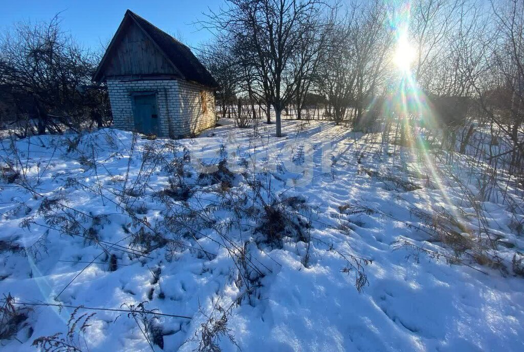 земля р-н Брянский с Толмачево СДТ Русь фото 1