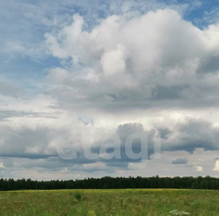 земля р-н Жуковский д Летошники ул Шоссейная фото 2