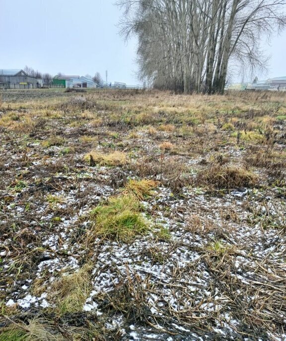 дом р-н Атнинский д Новая Атня ул Молодежная 1 Большеатнинское сельское поселение фото 7