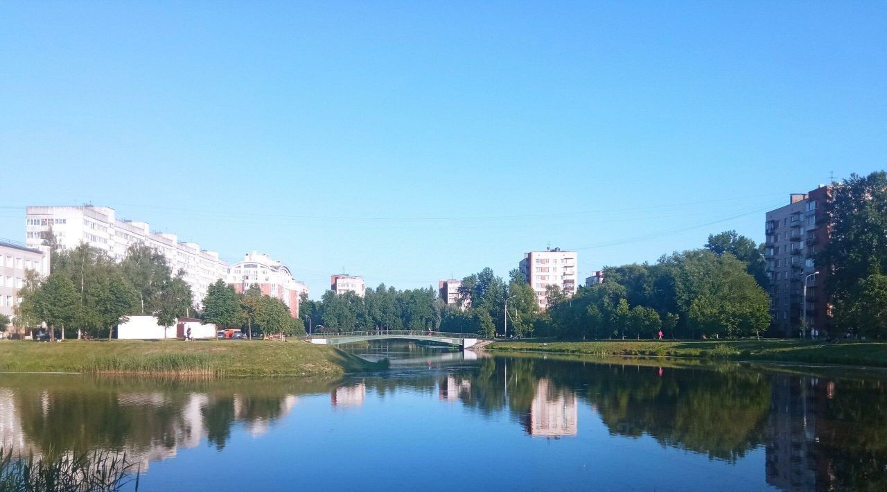 квартира г Санкт-Петербург метро Проспект Ветеранов ул Лёни Голикова 92 округ Дачное фото 19