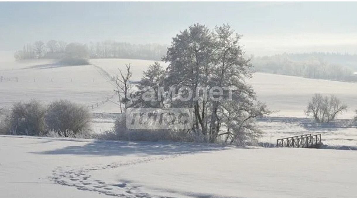 земля р-н Каменский п Толстовский ул Центральная Камень-на-Оби фото 3