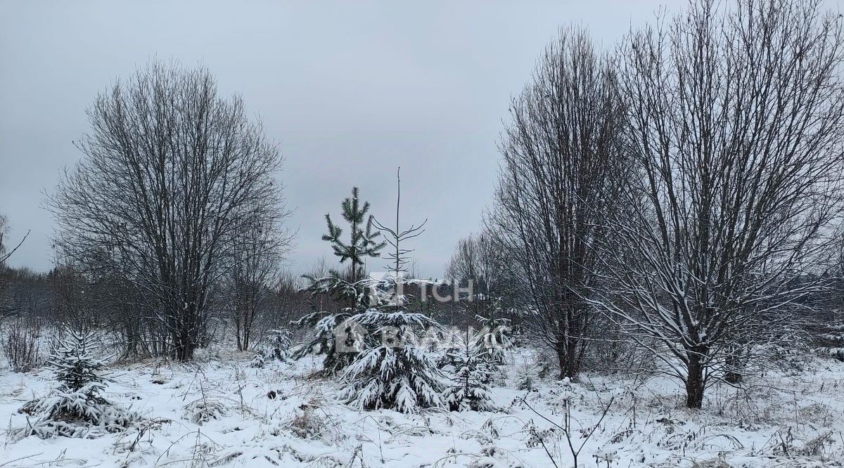 земля городской округ Щёлково д Новопареево ул. 1-я Амеревская фото 9