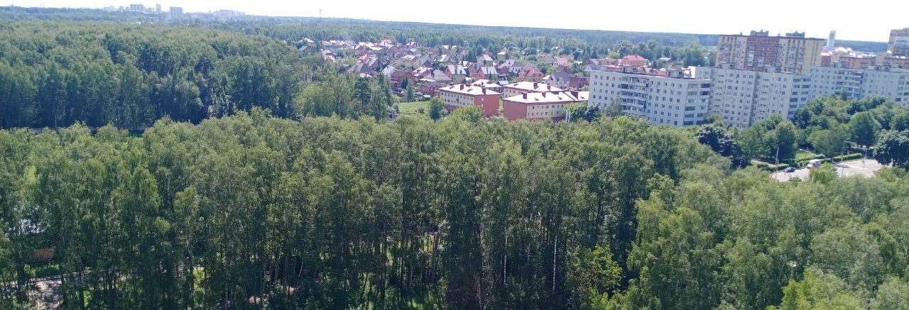 квартира городской округ Богородский г Ногинск ул Шибаевская 1 фото 2