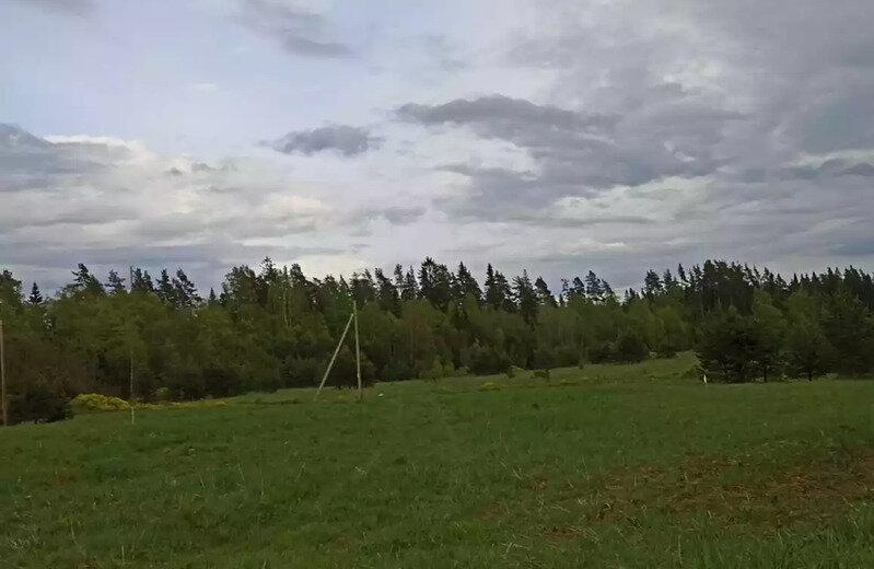 земля р-н Приозерский д Васильево Красноозёрное сельское поселение фото 4