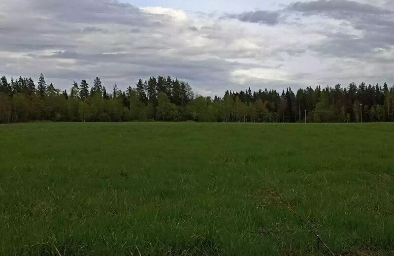 земля р-н Приозерский д Васильево Красноозёрное сельское поселение фото 8