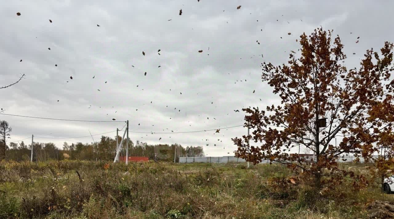 земля р-н Ленинский д Мыза сельский округ, Тула фото 19