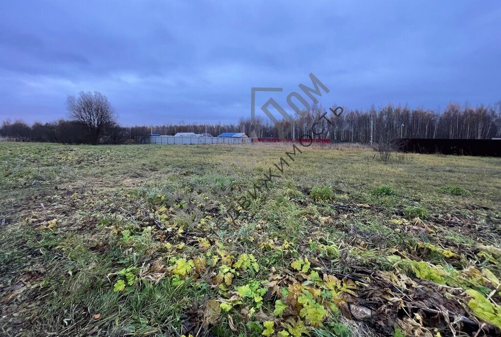 земля Железнодорожная, 166, городской округ Электросталь, СНТ Мечта фото 3