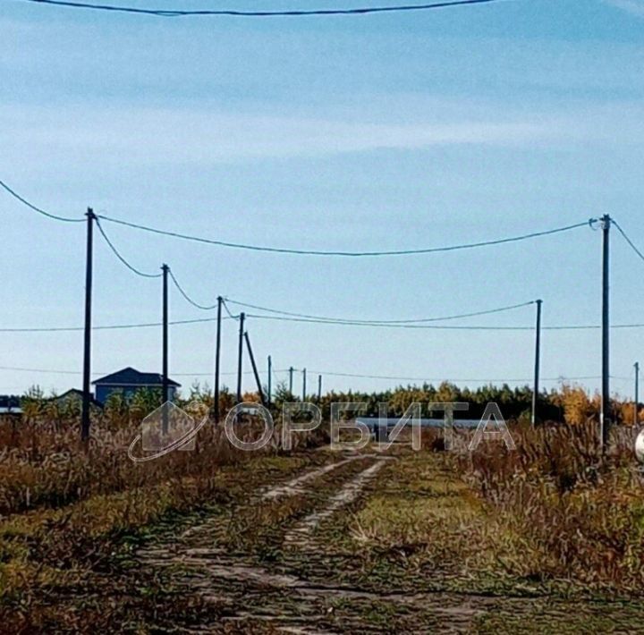 земля р-н Тюменский с Борки Каскаринское сельское поселение фото 1