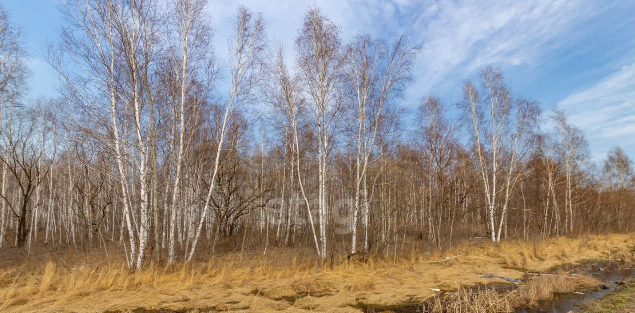 земля р-н Хабаровский с Восточное Восточное сельское поселение фото 4