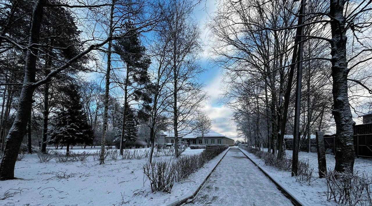 земля р-н Всеволожский д Ваганово Рахьинское городское поселение фото 13