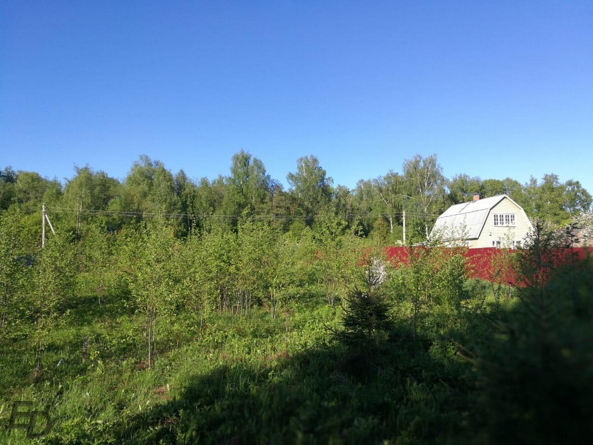 земля городской округ Сергиево-Посадский д Новая Шурма Ярославское фото 4