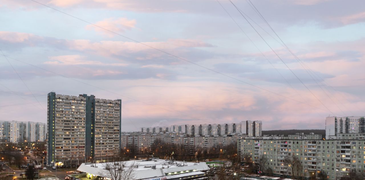 квартира г Москва метро Ясенево ул Вильнюсская 7к/2 муниципальный округ Ясенево фото 28