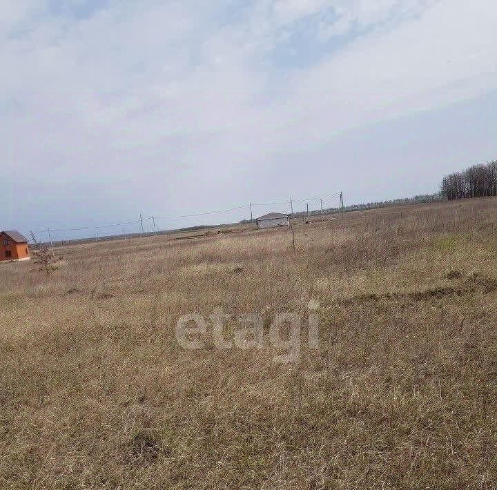 земля р-н Чаплыгинский г Чаплыгин ул Отрадная городское поселение Чаплыгин фото 2