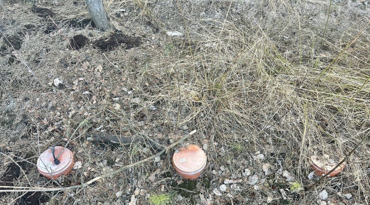 дом р-н Всеволожский снт Эскалатор Свердловское городское поселение, Северная Самарка садоводческий массив, 64 фото 27